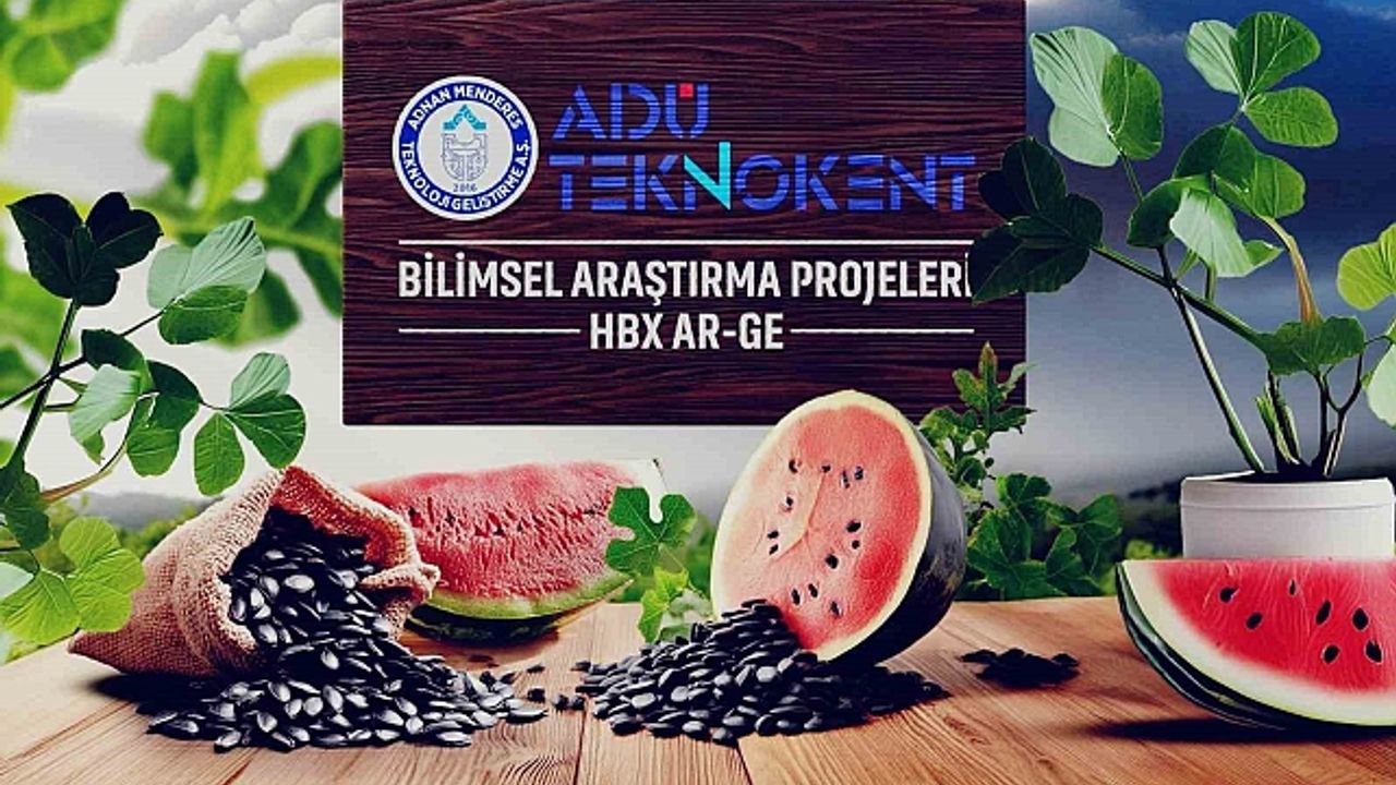 "Karpuz sadece serinletmiyor aynı zamanda vücudun elektrolit dengesini koruyor"