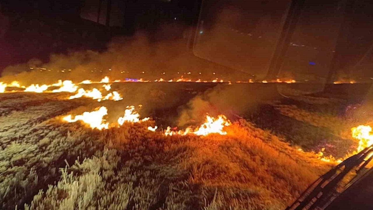 Van''da anız yangını