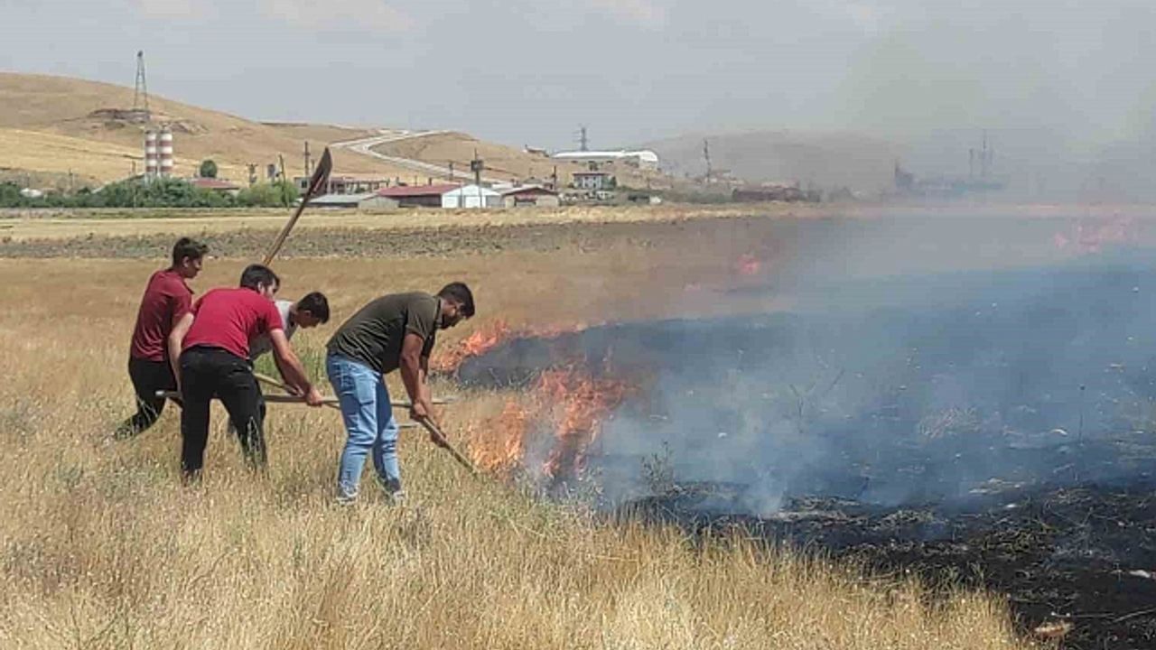 Van''da anız yangını korkuttu