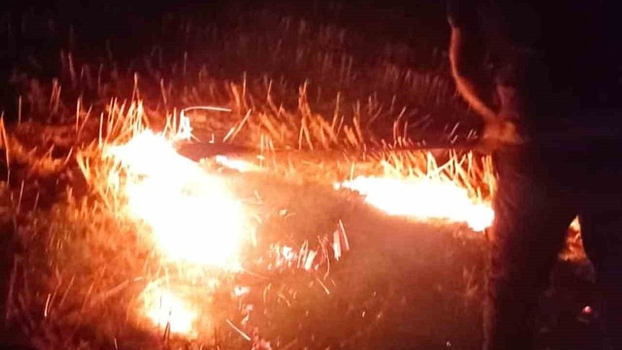 Altınözü''de anız yangını