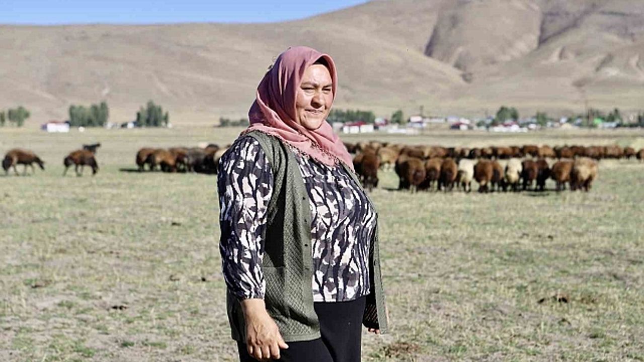 Devlet desteğiyle aldığı 100 koyunu, kadın eliyle 400''e çıkardı