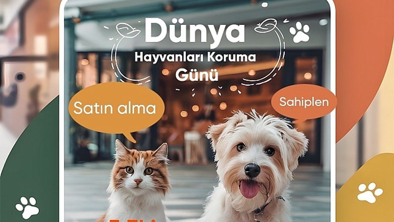 Mersin''de sokak hayvanları sahiplendiriliyor