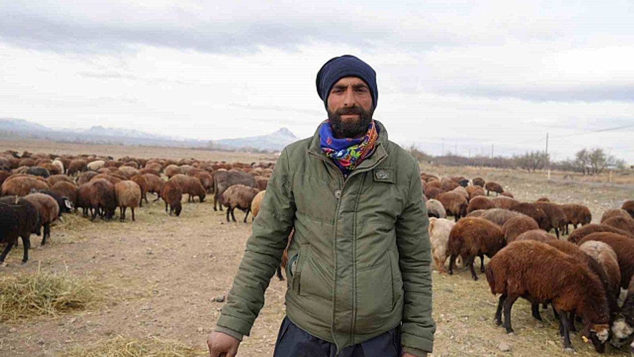 8 aydır memleketten ayrı olan sürüler Iğdır''a geri döndü