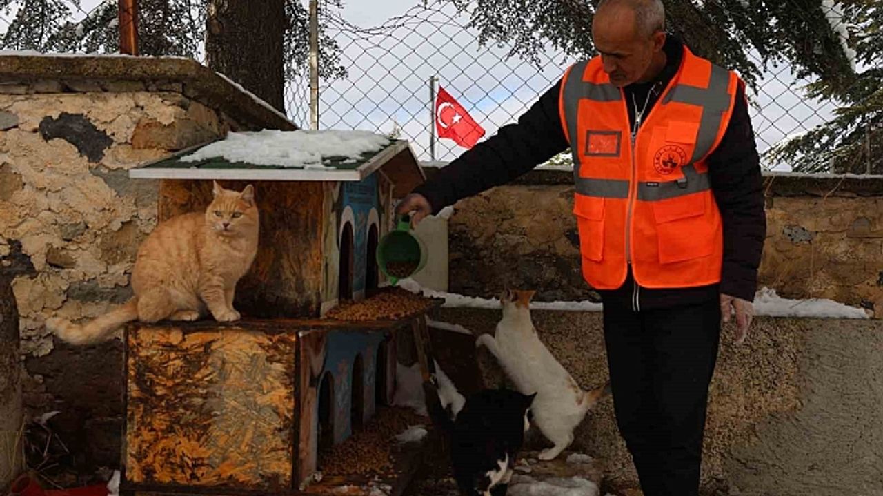 Elazığ''da sokak hayvanları için doğaya yem bırakıldı