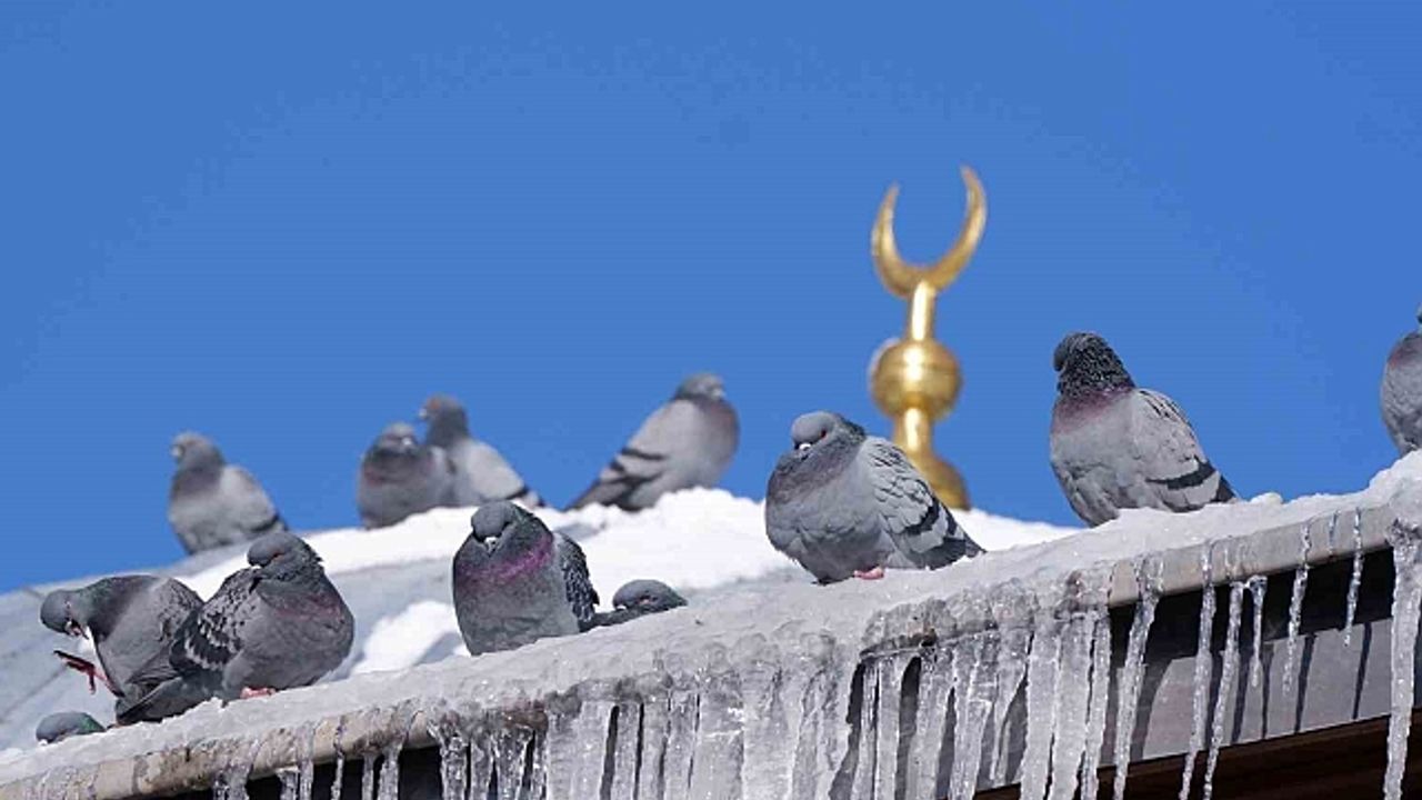 Erzurum''da termometreler -18''i gösterdi