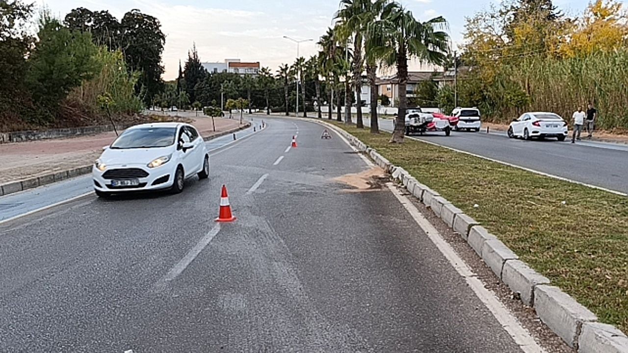 Kontrolden çıkan otomobil palmiyeye çarptı:1 yaralı