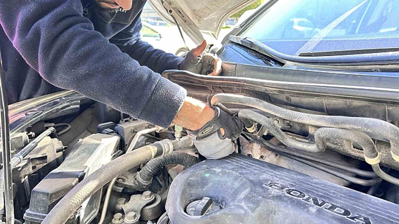 Seyir halindeyken aracından gelen sesi fark eden sürücü, soğuktan motora sığınan yavru kediyi kurtardı