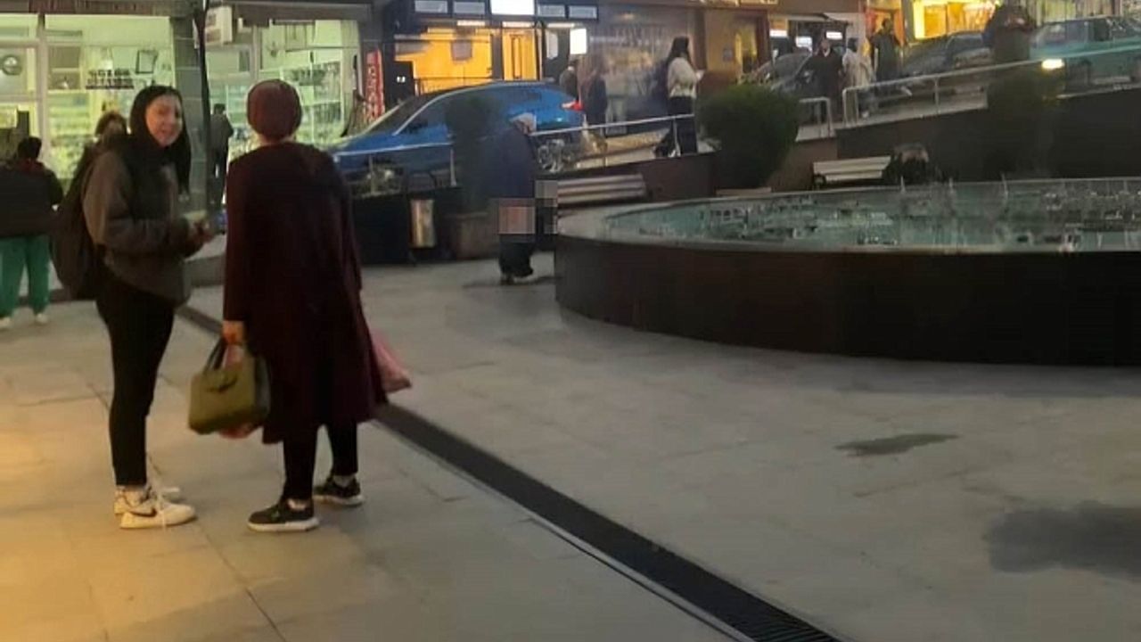 Sokak ortasındaki süs havuzuna tuvaletini yaptı