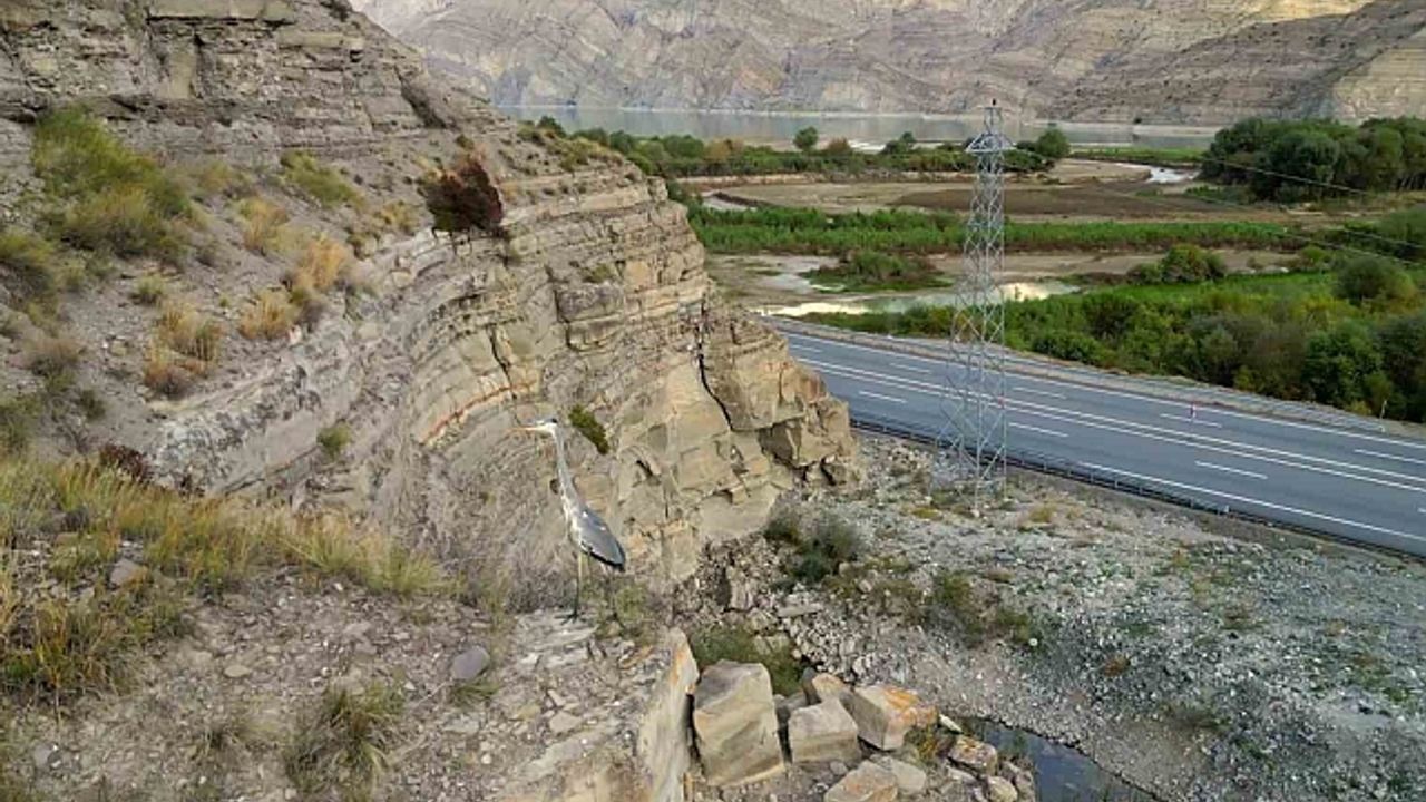 Tortum Gölü yaban hayata ev sahipliği yapıyor