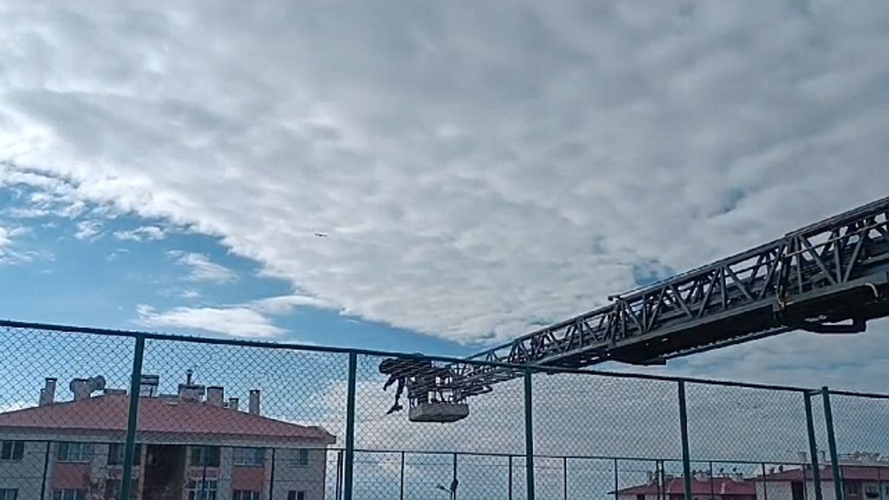 Van''da halı sahanın yan ağlarına takılan karga kurtarıldı