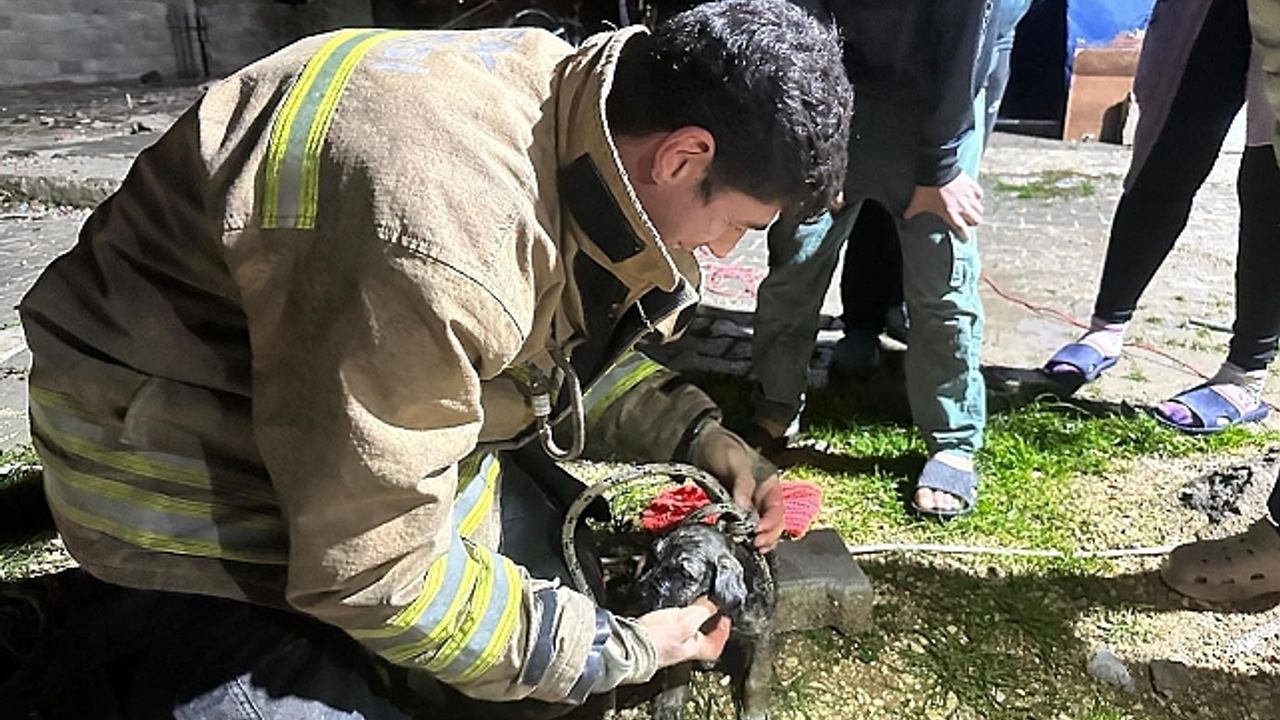 17 metre derinliğindeki kuyuya düşen köpeği itfaiye kurtardı