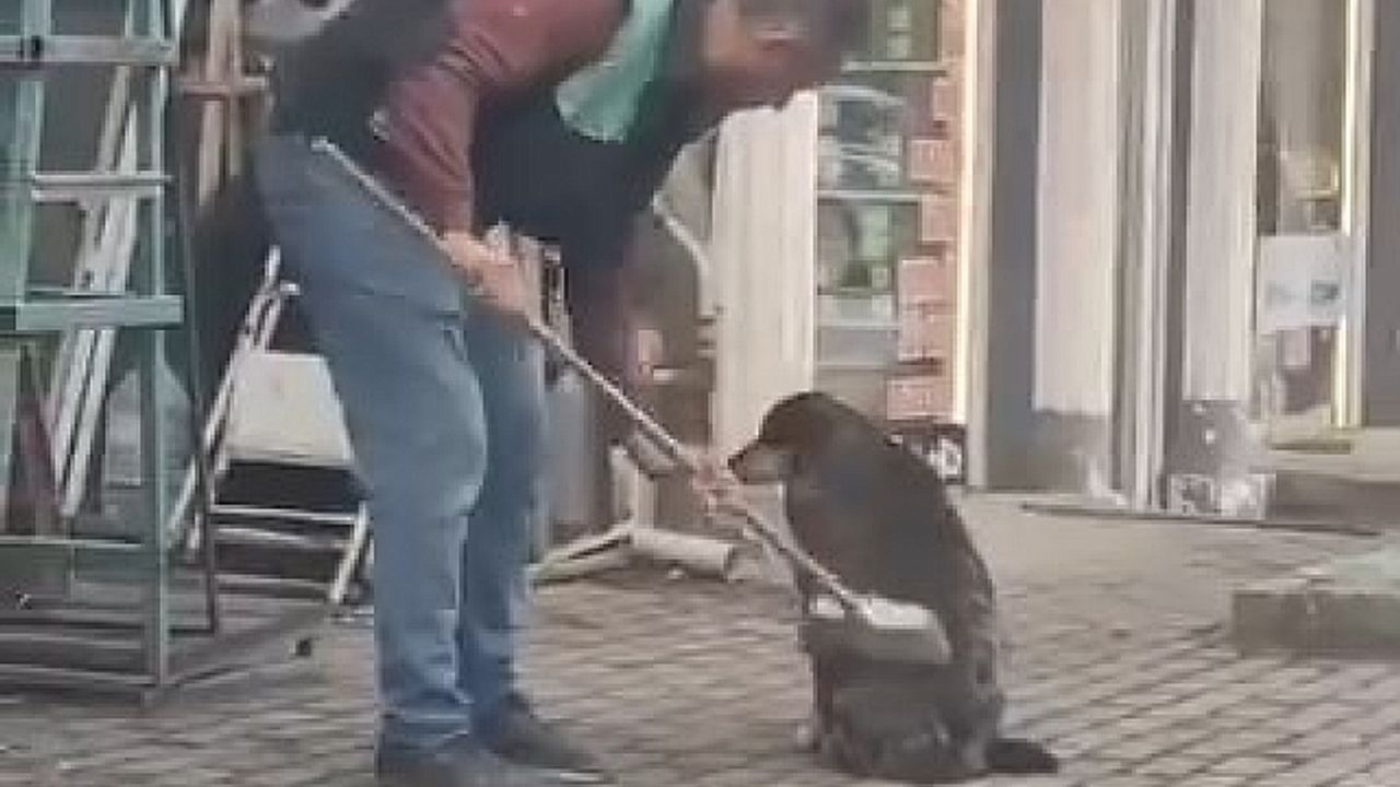 Bursa''da iç ısıtan görüntüler