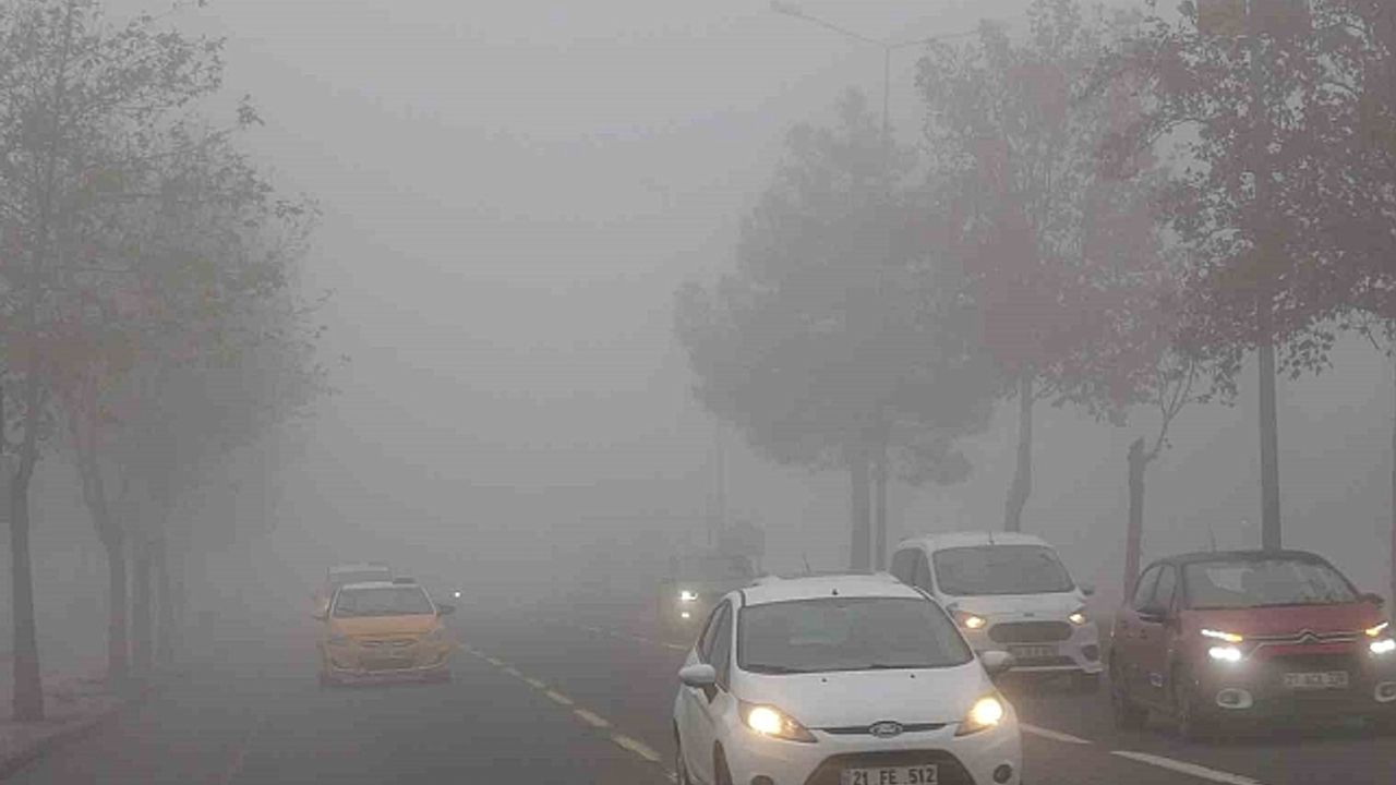 Diyarbakır''da hava ve kara ulaşımına sis engeli