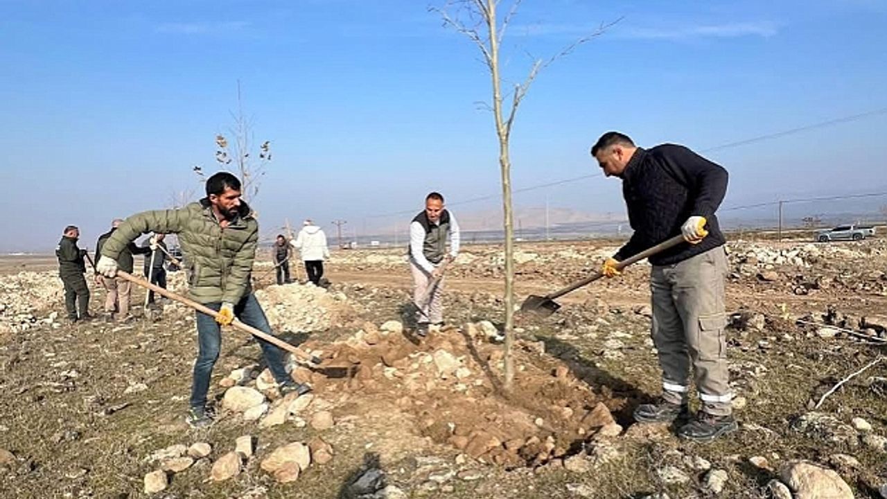 Iğdır"a Ağaç Sevgisini Aşılayan Müdür: Taner Tazegün