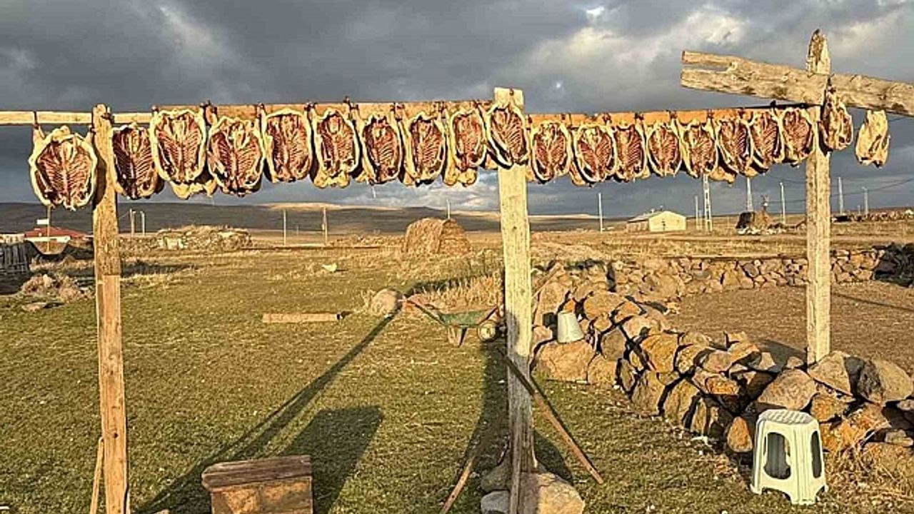 Kars''ta kazlar tellerde kurutuluyor