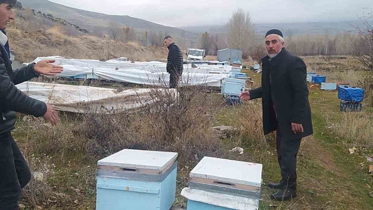 Muradiye''de ayılar kovanlara ve kümes hayvanlarına saldırdı