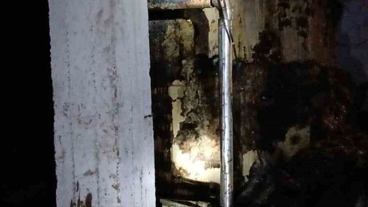 Tarsus''ta yem fabrikasında yangın