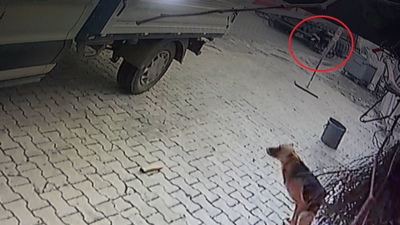 Tırla çarpışan motosikletin 84 yaşındaki sürücüsü hayatını kaybetti