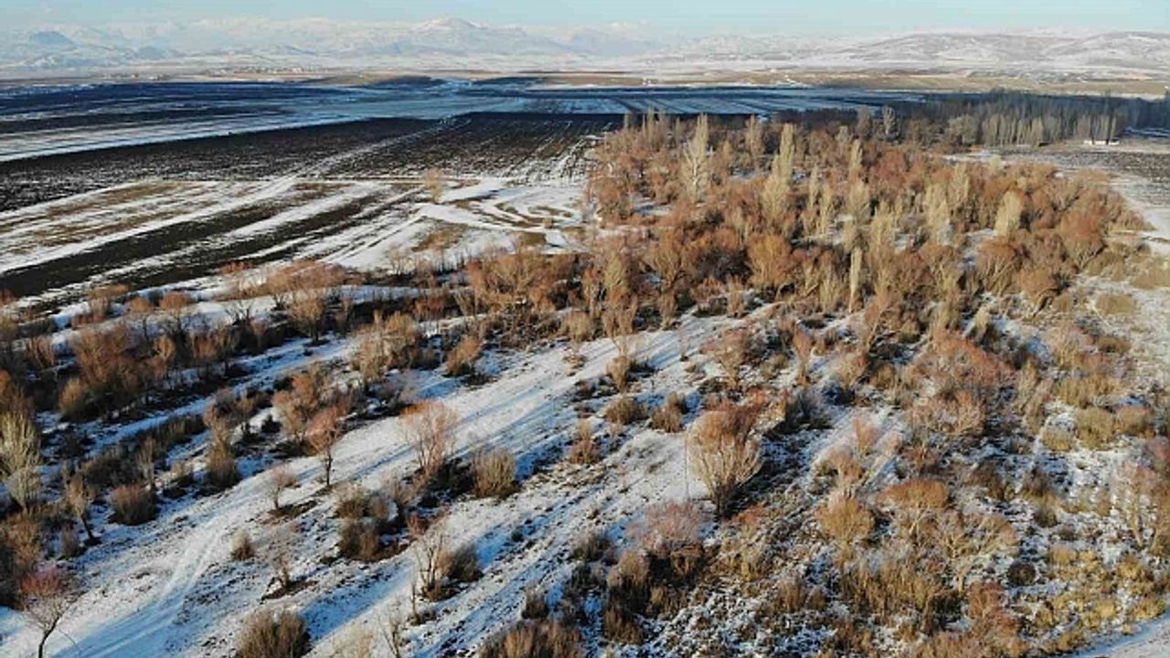 Ağrı''da kış manzarası göz kamaştırdı