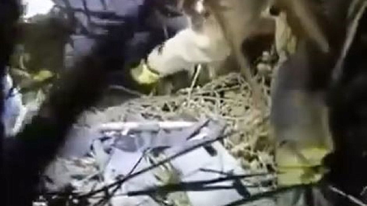 Alkollü şahıs fotoğraf çekinmek için 10 metre yüksekten aşağıya düştü