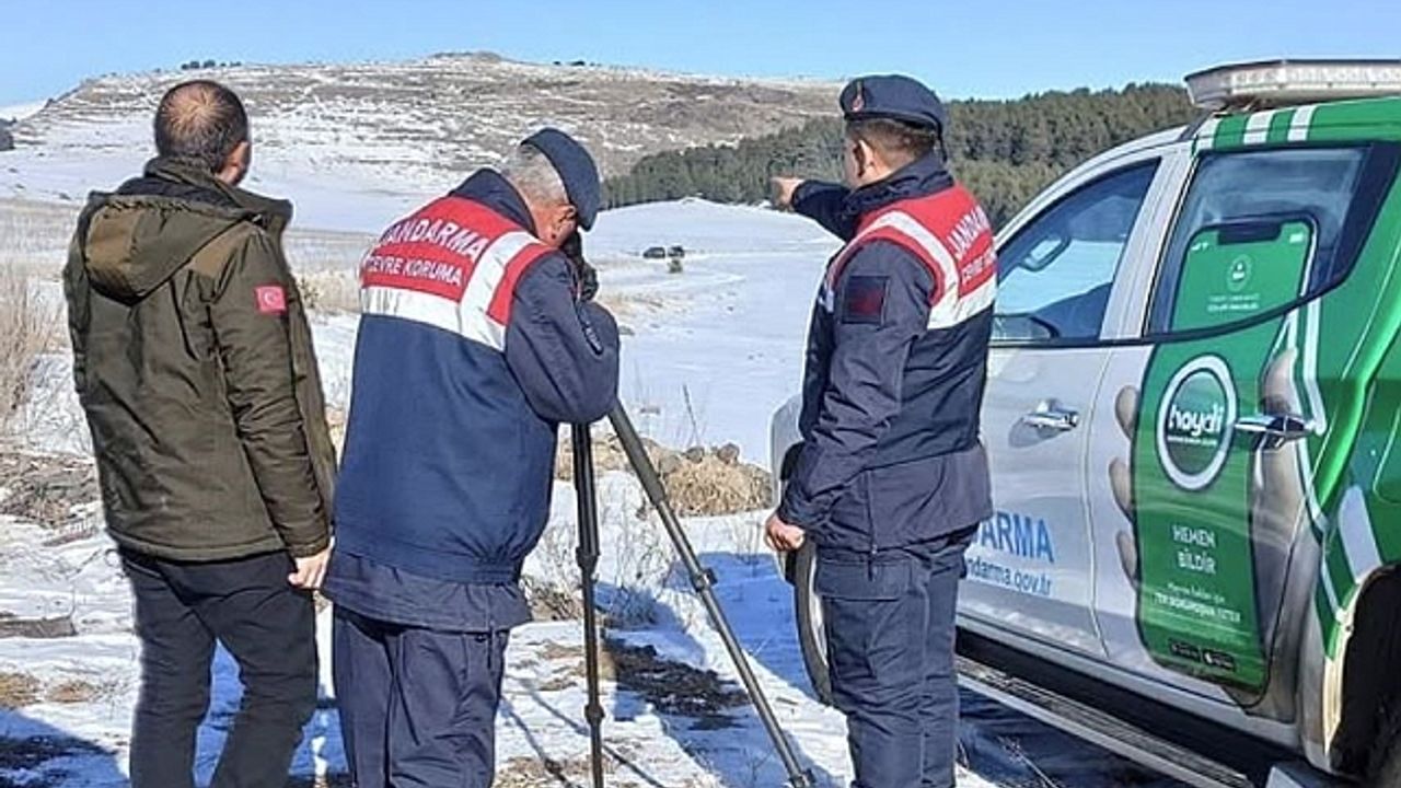 Ardahan''da Jandarma, kaçak avcılığa karşı denetimlerini sürdürüyor