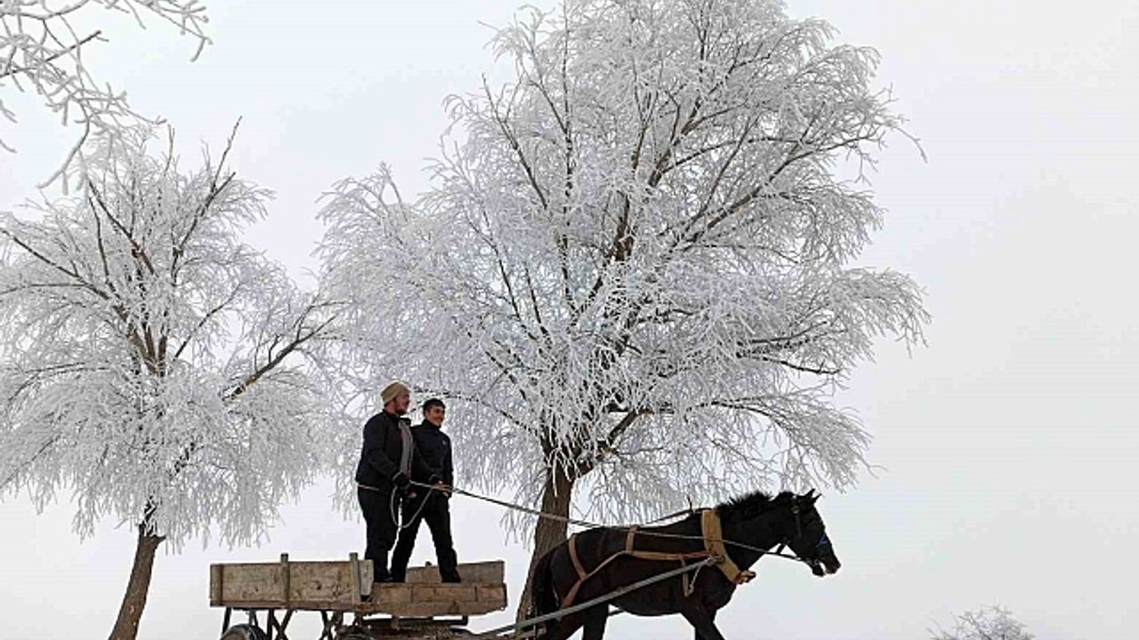 Erzincan''ın Otlukbeli ilçesi buz tuttu!
