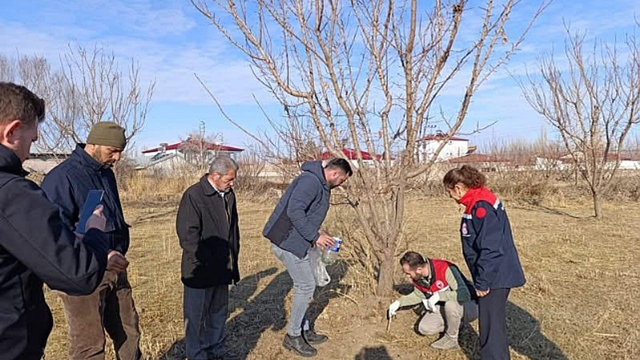 Iğdır"da Tarla Faresiyle Mücadele Seferberliği Başlatıldı