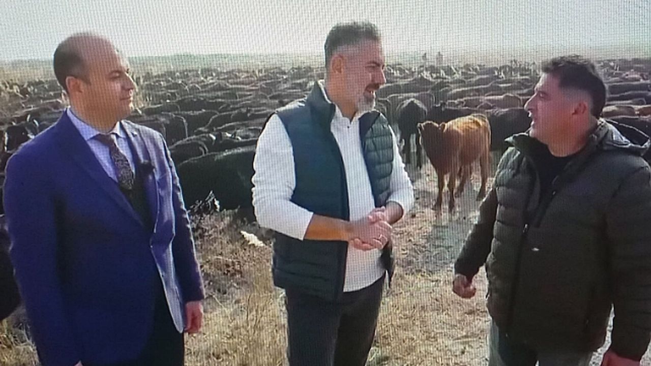 İl Tarım ve Orman Müdürü Tingiş, TİGEM"de İncelemelerde bulunarak çalışmaları yerinde gözlemledi.