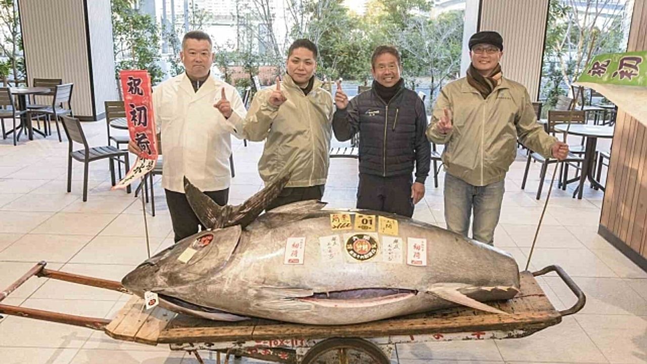 Japonya''daki yeni yıl mezatı: 276 kiloluk mavi yüzgeçli orkinos 1,3 milyon dolara satıldı