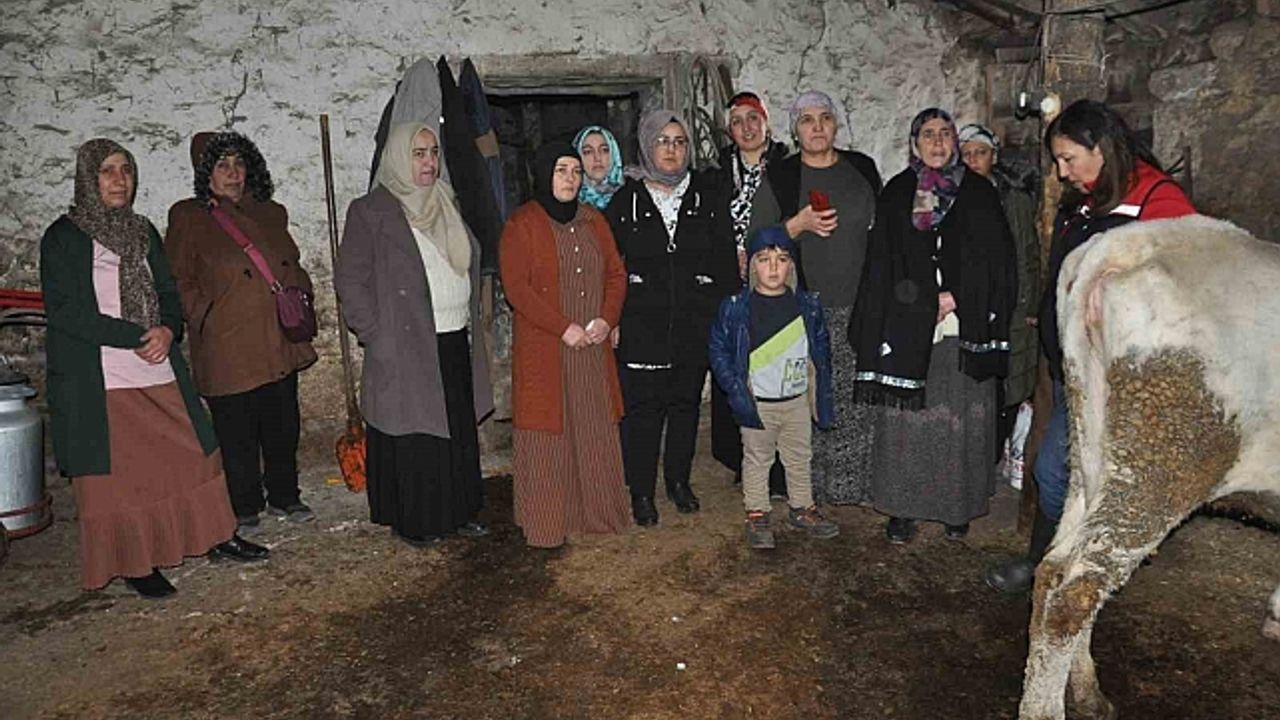 Kars''ta kadınlar sağlıklı sağım tekniklerini öğreniyor