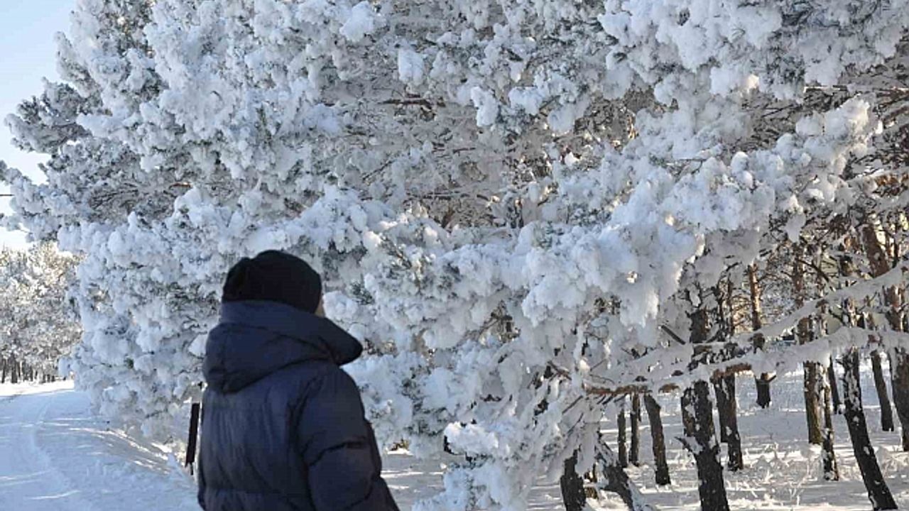 Kars''ta soğuk hava etkisini gösterdi