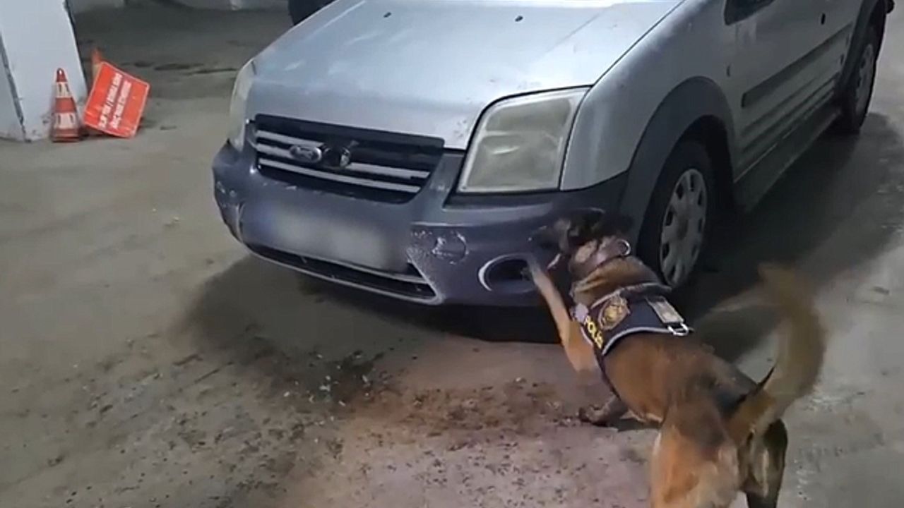Kars''ta uyuşturucu narkotik köpeği Şila''ya takıldı