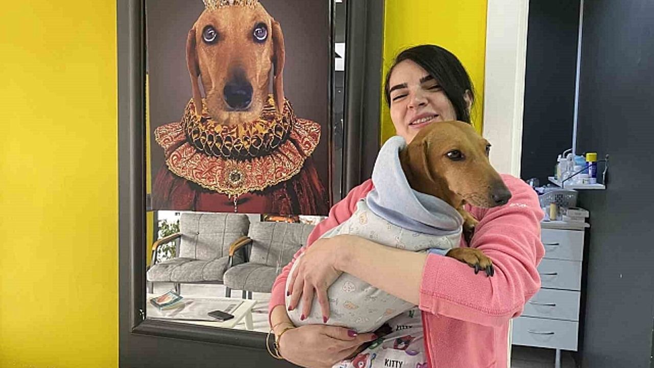 Kış aylarında tıpkı insanlar gibi hayvanlar da hasta oluyor