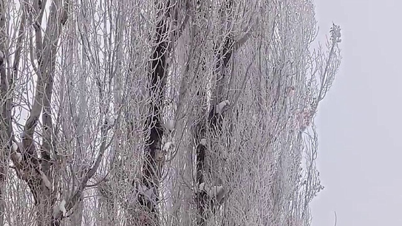 Tekman eksi 24,9 ile dondu