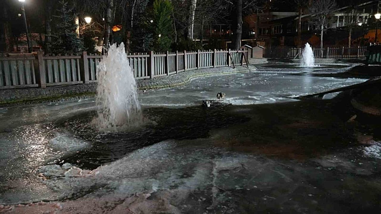 Ankara''da hava sıcaklığı eksi 10 dereceye düştü: Kuğulu Park''ın havuzu dondu