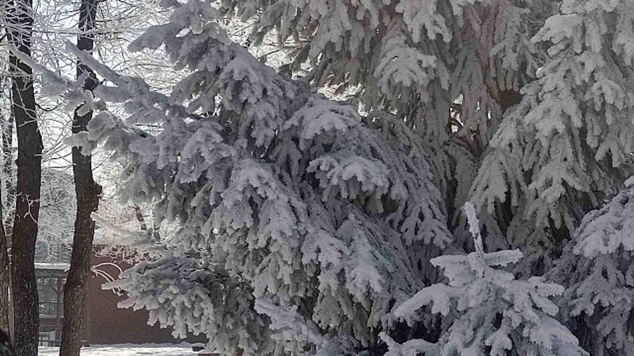Göle''de hava eksi 27,7 derece: Araçlar soğuktan çalışmadı