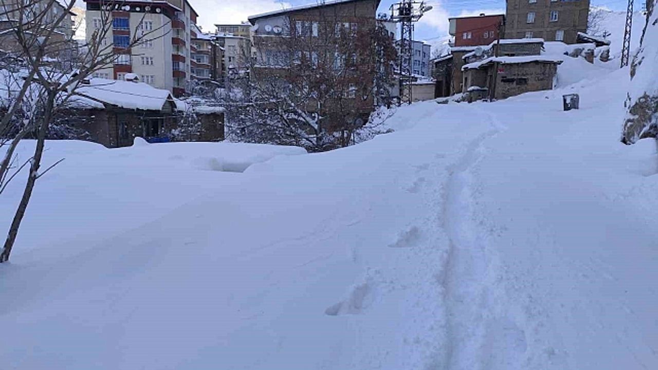 Hakkari''de 18 köy ve 64 mezra yolu ulaşıma kapandı