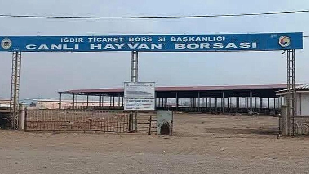 Iğdır"da Şap Hastalığı Alarmı: Hayvan Pazarı Geçici Olarak Kapatıldı