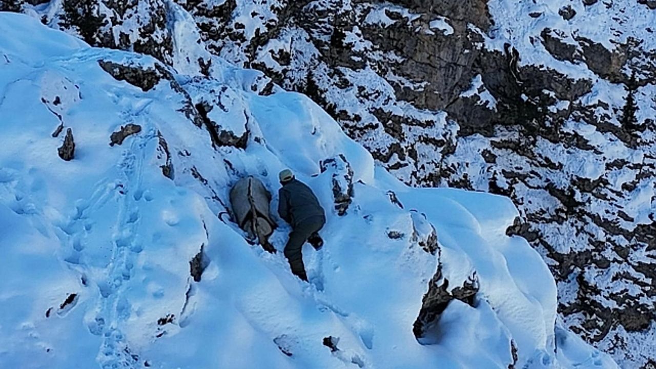 Kaçak avcı havadan görüntülendi