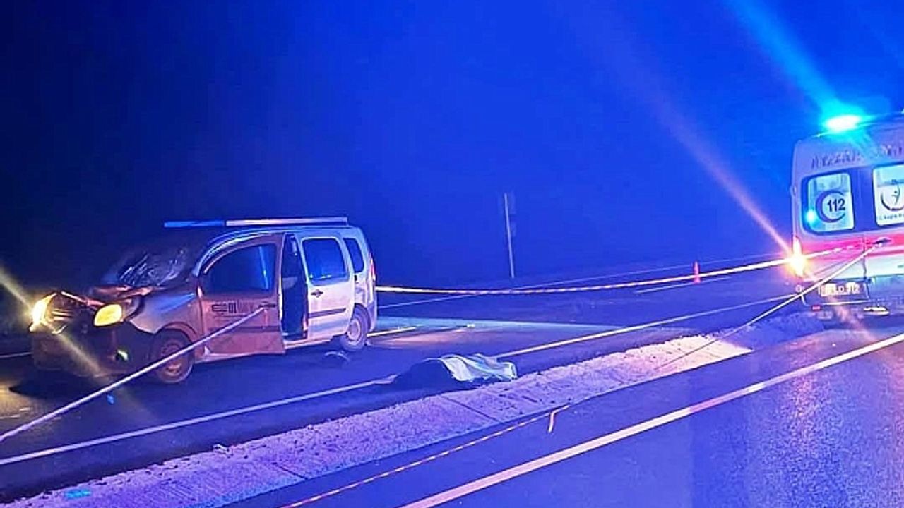 Tavşanlı''da otomobilin çarptığı kadın hayatını kaybetti