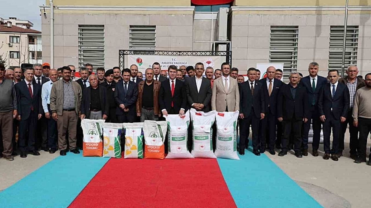 Amasya''da çiftçilere kuraklığa dayanıklı yağlık ayçiçeği ve nohut tohumu dağıtıldı