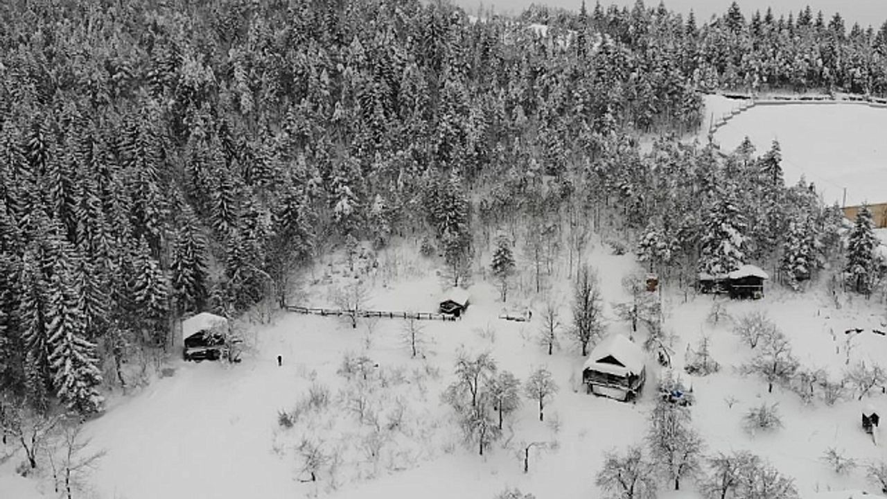 Artvin''de zorlu kış şartlarında boğa bakımı güçleşiyor
