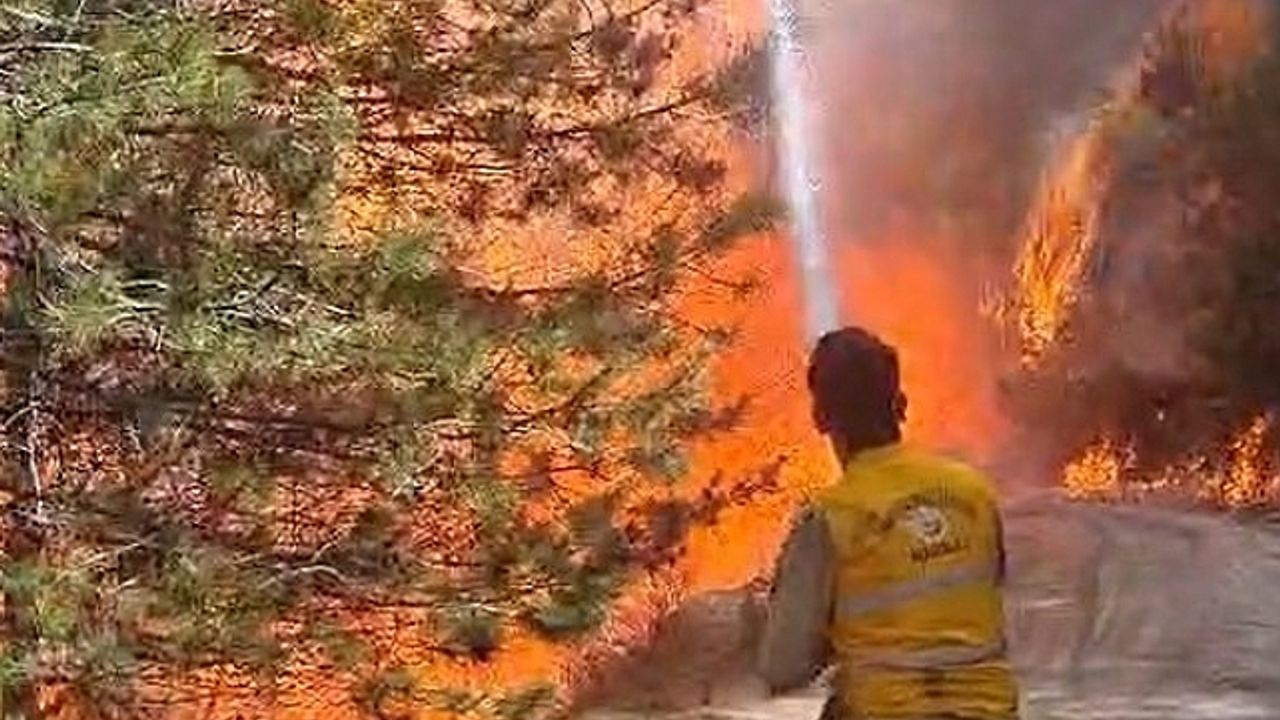 Aydın''da orman yangını