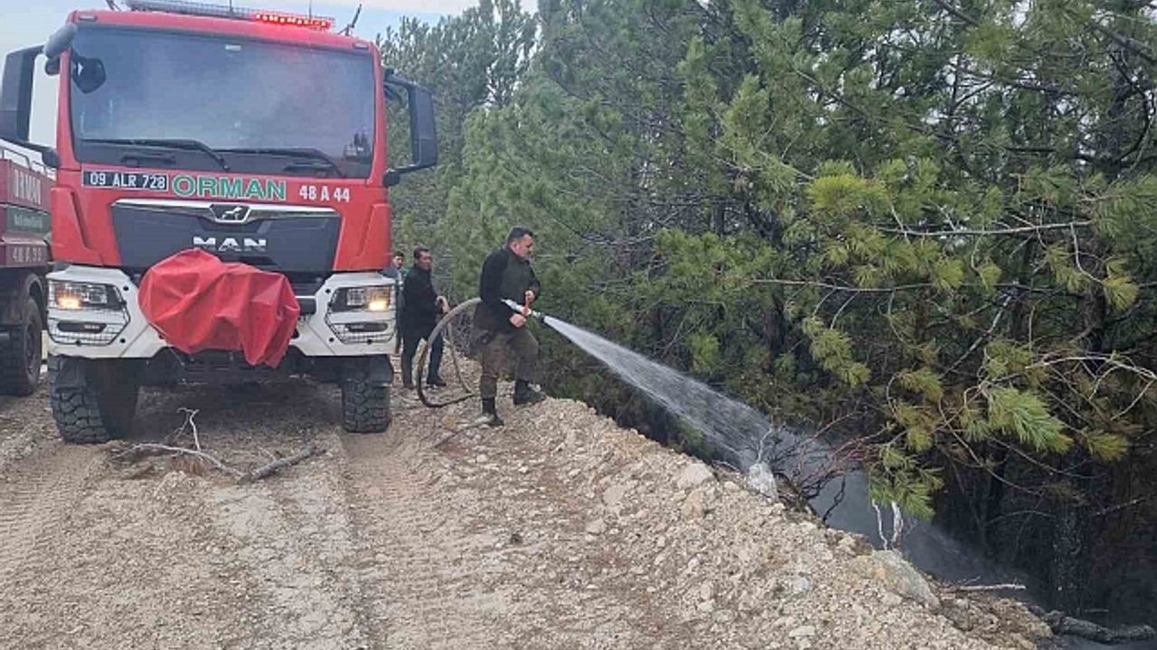 Aydın''daki orman yangını kontrol altına alındı