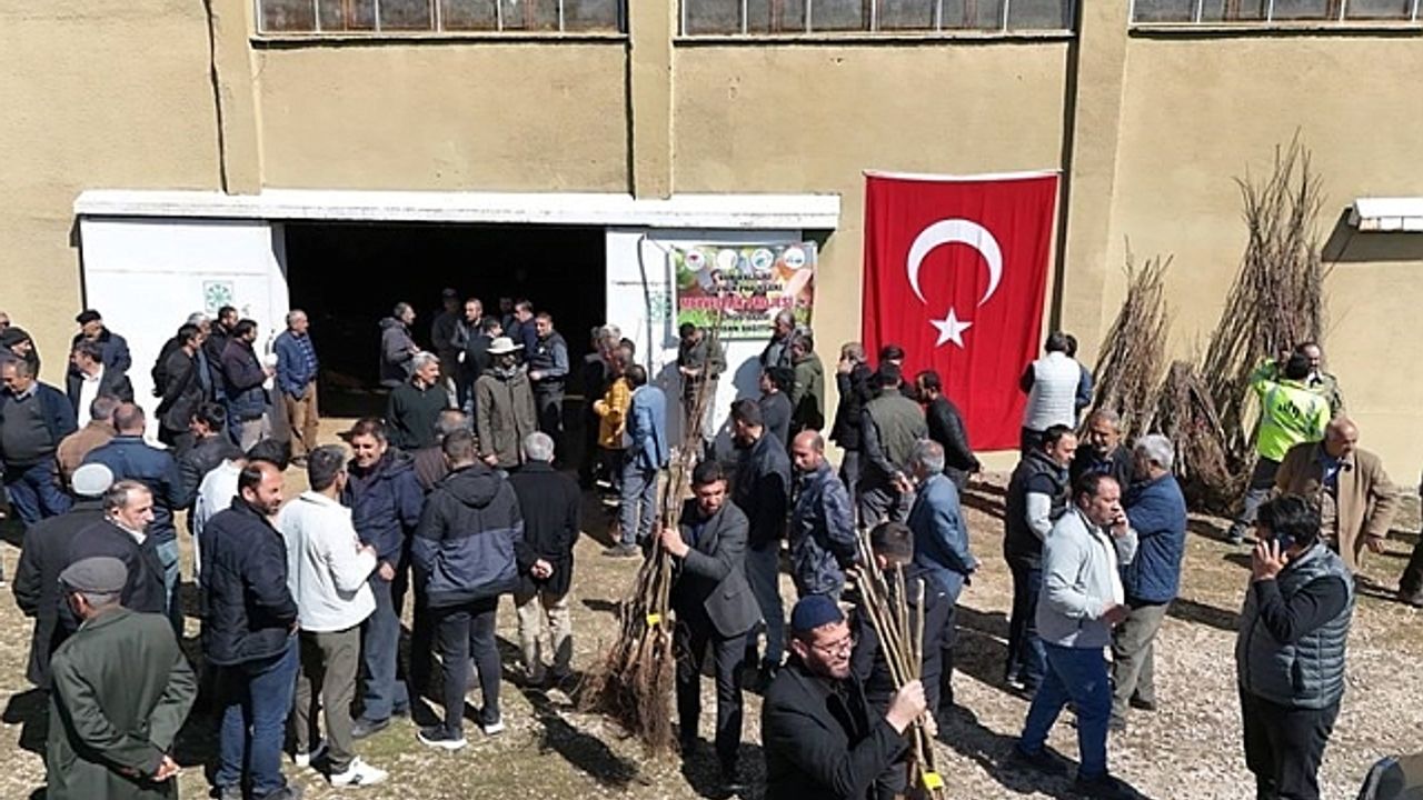 Erciş''te meyve fidanı dağıtıldı