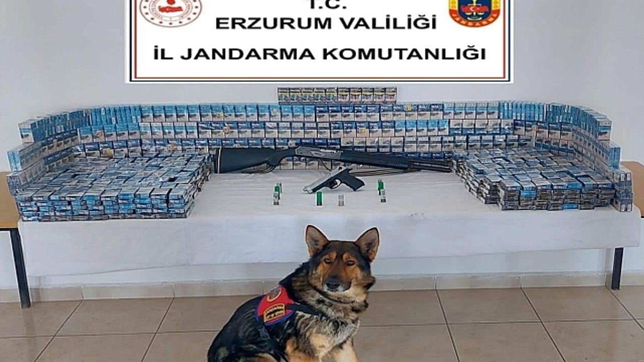 Erzurum''da jandarmadan kaçakçılık operasyonu
