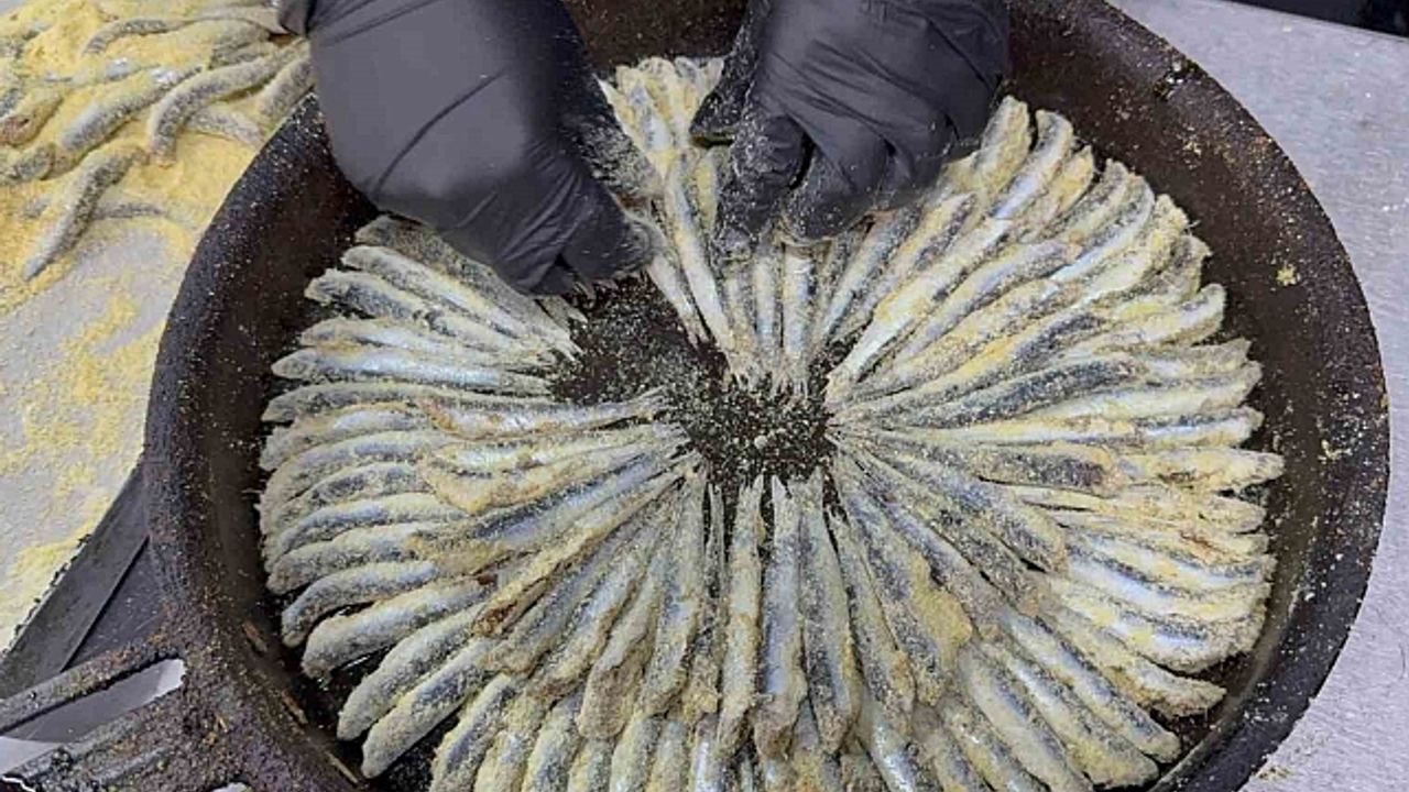 Hamsinin lezzeti arttı: Ustasından pişirme tüyoları