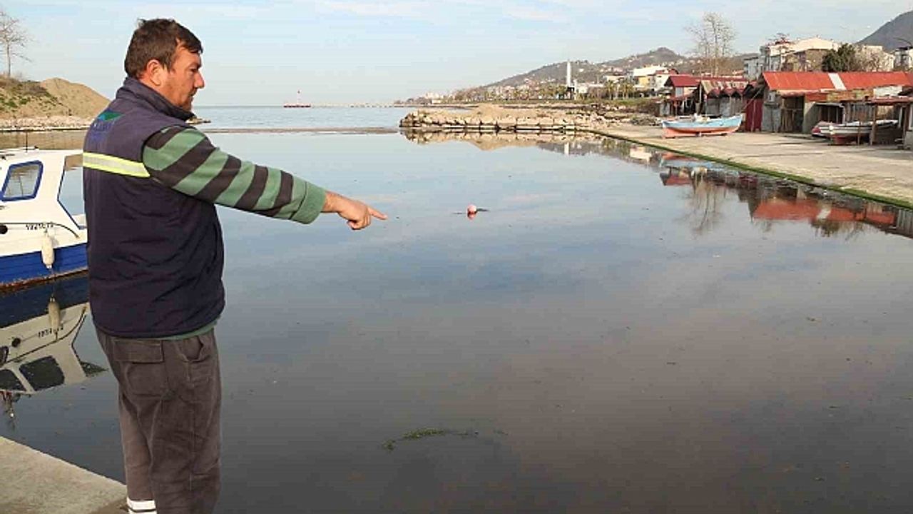 Liman girişi kumla doldu, balıkçılar mahsur kaldı