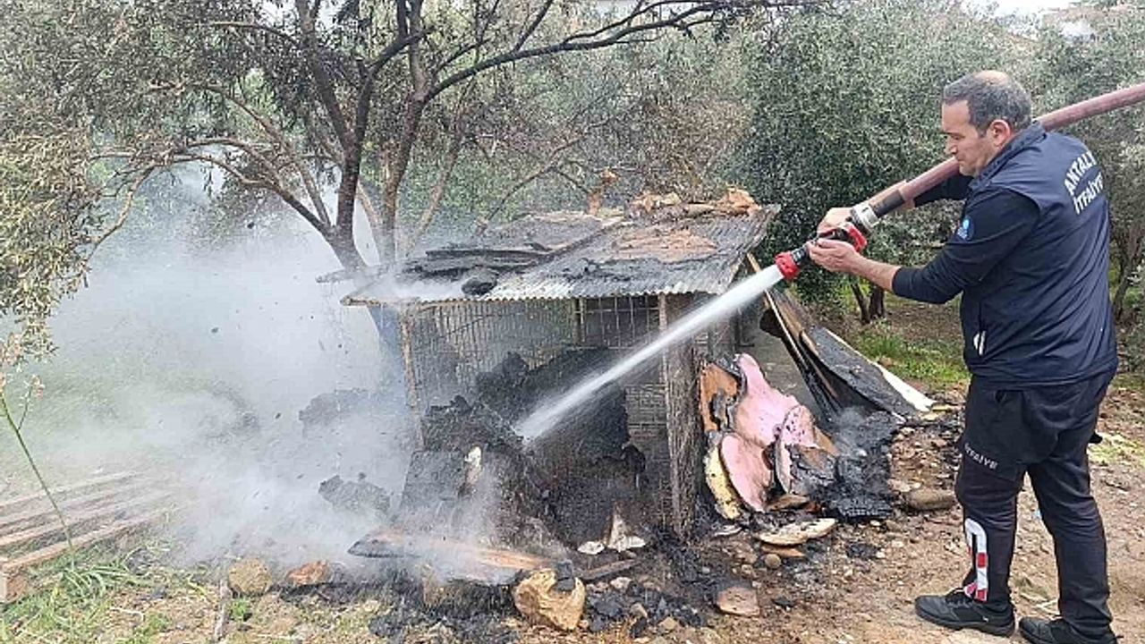 Ormanlık arazide yanan tavuk kümesi ekipleri alarma geçirdi