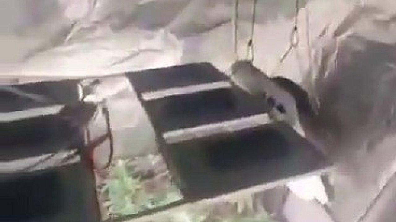 Sultanbeyli''de uyuşturucu operasyonu: Evi seraya dönüştürmüşler